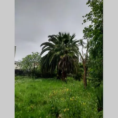 La Isla De Sirenas *