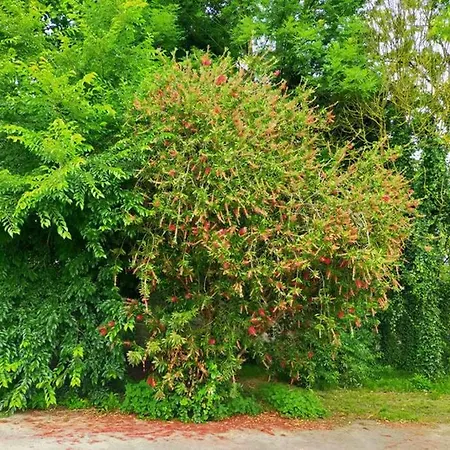 La Isla De Sirenas *