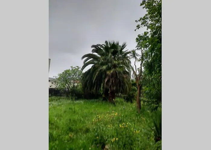 La Isla De Sirenas *